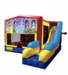 DIsney Princess Theme 5n1 Combo Single Lane Slide