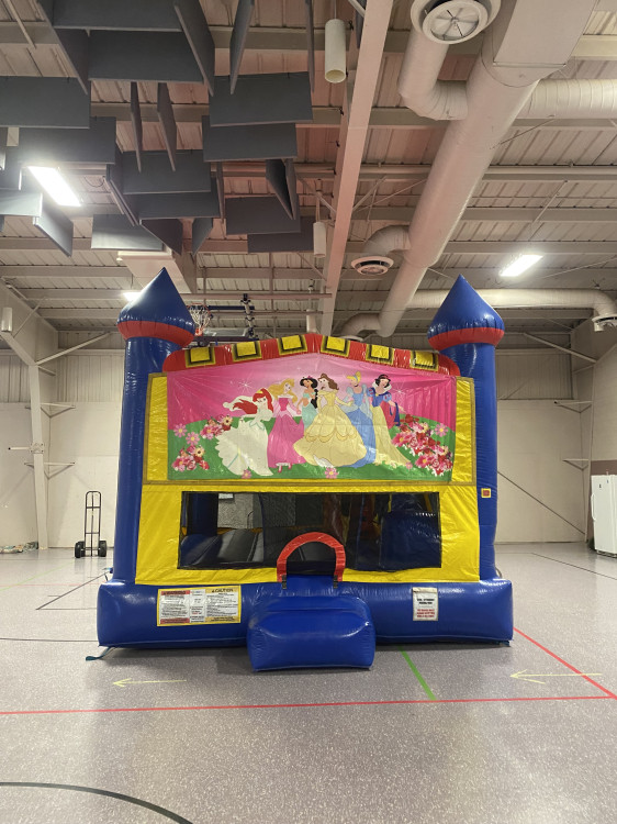 DIsney Princess Theme 4 in 1 Castle Combo